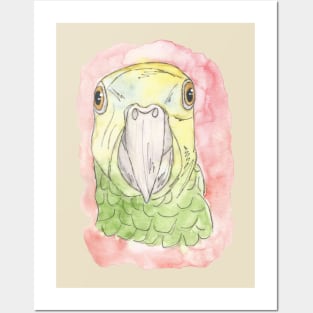 Parrot Watercolor Design Posters and Art